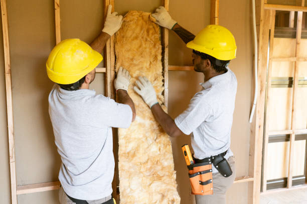 Best Insulation Removal  in Enon, OH